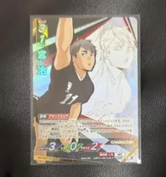 ハイキュー　宮治　バボカ　頂　稲荷崎