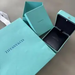 ティファニー　【レア】クリスタルリボンボックス Tiffany & Co. クリスタル ボウボックス リボン 2026年最新