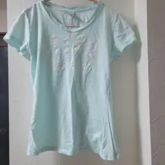 Abercrombie & Fitch 半袖Tシャツ M ライトブルー