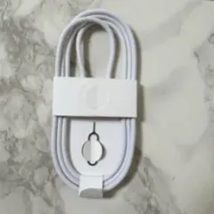 ホワイト USB-C 充電ケーブル