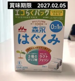 森永 はぐくみ エコらくパック 800g (400g×2袋) - メルカリ