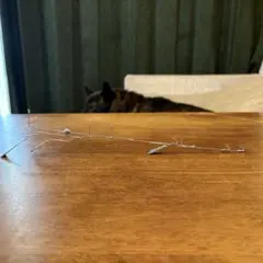 Item thumbnail for item 283329b8-8311-4da3-bf70-f1c9129d726e