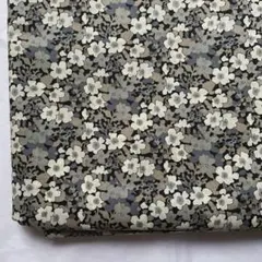 Item thumbnail for item acf75679-1e9a-49b6-9633-99ff47200cb6