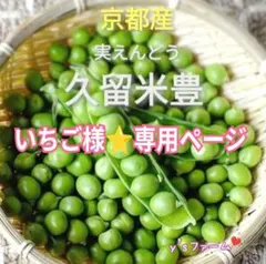 ◎いちご様⭐️専用ページです♪