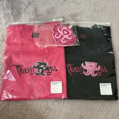 浜崎あゆみ 2025ツアー Tシャツ Vol.2 Lサイズ - メルカリ