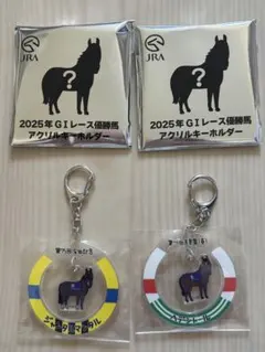 JRA ウェルカムチャンス 2024年GIレース優勝馬キーホルダー - メルカリ