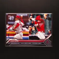 Item thumbnail for item a1e51f74-8788-48bb-b502-f08d11b430c2