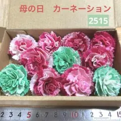 ソラフラワー　2515