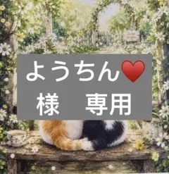 ようちん♥プロフお読み下さい♡様　専用