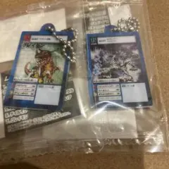 デジタルモンスターカードゲームアクリルチャームコレクション02 2種セット