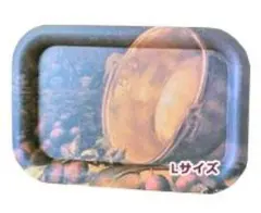 Item thumbnail for item 7e300156-b5ae-4b7e-a5f0-760794e9bdd1