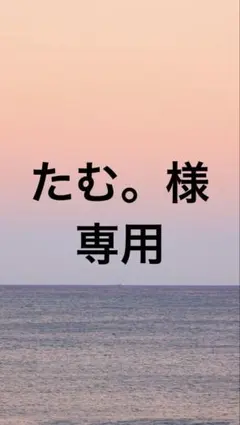 たむ。様専用　amiiboカード