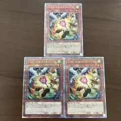 遊戯王　ドロール＆ロックバード　絵違い　25th　シク　３枚