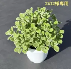 2の2様 リクエスト 2点 まとめ商品