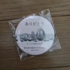 大阪万博 電力館 可能性のタマゴくじ 銀賞 アクリルLEDライト - メルカリ