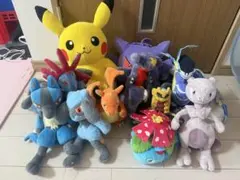 ポケモンぬいぐるみセット オオタチ ルカリオ ヒトカゲ カイリュー