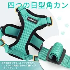 Rabbitgoo ハーネス 犬猫兼用 超小型犬 小型犬 XS