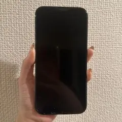 Apple iPhone 13 Pro maxグラファイト　256GB