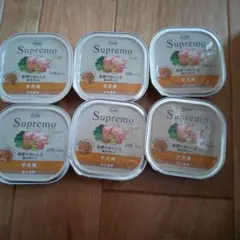 Item thumbnail for item 71a5c78c-6acd-4f07-ae54-6b4424d00500