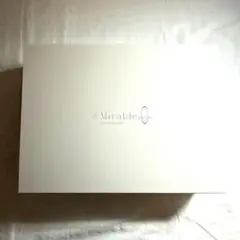 Item thumbnail for item 8908997c-3740-4b11-9a9f-04bdcc5658bf