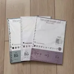 Item thumbnail for item b8a78256-0339-48f0-a0b6-6f63590428e9