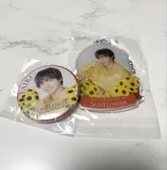 佐藤大樹 ラウンドワンコースター 缶バッジ FANTASTICS SUNFLOWER 佐藤大樹 缶バッジセット - メルカリ
