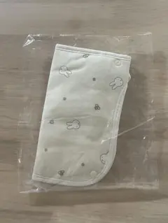 Item thumbnail for item dfd3adb5-288d-4e06-a0e8-0675e274a005