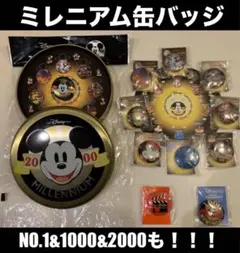 2025年最新】ディズニー2000年記念の人気アイテム - メルカリ