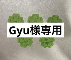 Gyu様専用のサムネイル