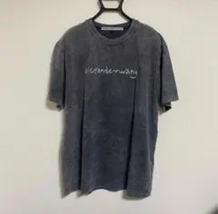 AlexanderWang Tシャツ TWICEモモ着用 - メルカリ