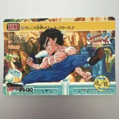 ストリートファイターII フェイロン トレーディングカード No.30のサムネイル