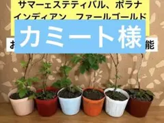 2026年最新】グレンアンプルの人気アイテム - メルカリ