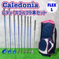 Caledonia レディースゴルフクラブ 11本 豪華セット CL-350 | Mercari