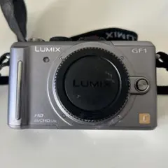 LUMIX 一眼レフGF3 専用バッグ付き - メルカリ