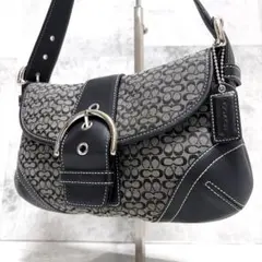 COACH レア ピンクレザー Soho Demi ミニショルダーバッグ - メルカリ