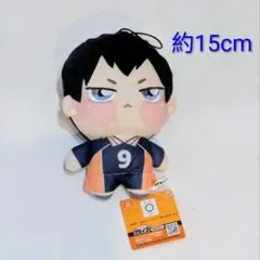 ハイキュー　ちょぴぬい① 影山飛雄　ぬいぐるみ　マスコット