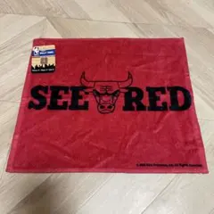 NBA シカゴブルズSEE RED タオル