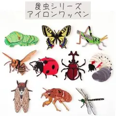 Item thumbnail for item a5d1c925-da1a-47a3-ab7b-4bb2ca943db0