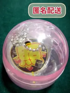 ★値下げ★SnowMan 岩本照 もじパラ うちわ キーホルダー