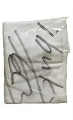 Item thumbnail for item f47a0d65-19d6-45d3-9d99-a12c599d892a