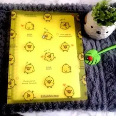 【新品同様】キイロイトリ A4サイズ　ルーズリーフ付き★ファイル★ノート