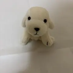 Item thumbnail for item f1dfbd41-0e60-4a7b-b1f5-8cae5b406dcc