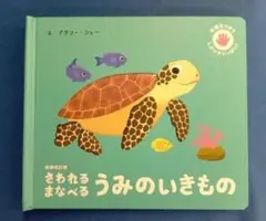 さわる まなべる うみのいきもの