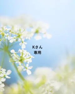 Kさん専用