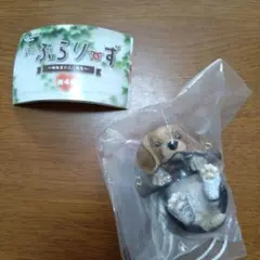 ぱたみゅん様 リクエスト 2点 まとめ商品