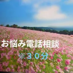 Item thumbnail for item 93b8e7c4-e248-481e-918d-16d4c96914f2