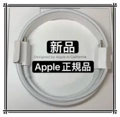Apple AirPods 付属品　ライトニングケーブル　Lightning