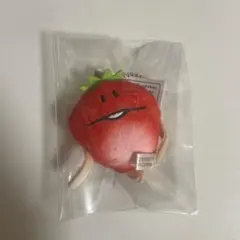 当時物 平成レトロ なめこ栽培キット いちごなめこ ぬいぐるみ