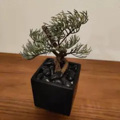 盆栽風 フェイクグリーン 松 人工観葉植物 和モダン インテリア