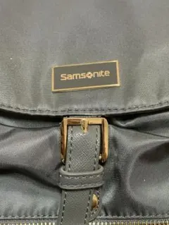 Samsonite グレー リュック・バックパック